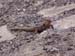 bild 038