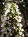 bild 081