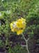 bild 091
