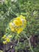 bild 092